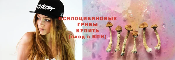 МДМА Белокуриха