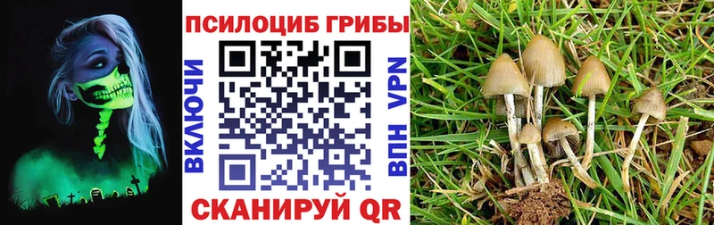 наркотики  Ворсма  Галлюциногенные грибы Psilocybine cubensis 