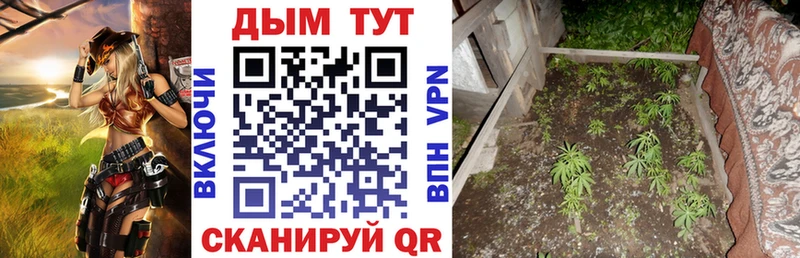 гидра ССЫЛКА  Ворсма  МАРИХУАНА конопля 